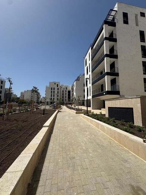 פרויקט "ZEMER ESTATE"