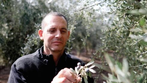 מנכ"ל בית הבד גל אשוש
