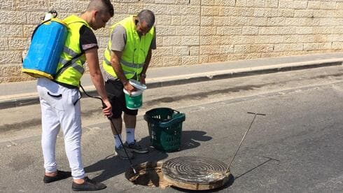 הדברת יתושים במודיעין