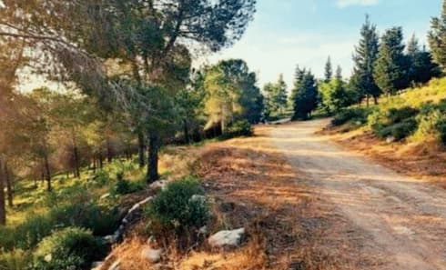האזור שבו אמור להיסלל שביל האופניים