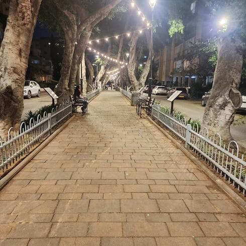 שדרת המשוררים והמשוררות החדשה ברחובות