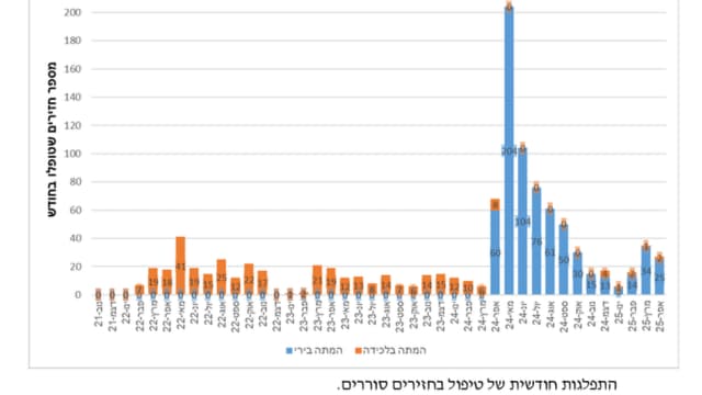 דיווח על חזירים בחיפה