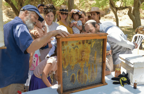 מסורת דבש של אלפי שנים (צילום: באדיבות עין יעל) מסורת דבש של אלפי שנים