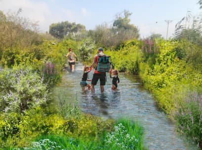 מסלול רטוב במעיין. מצב עתידי 