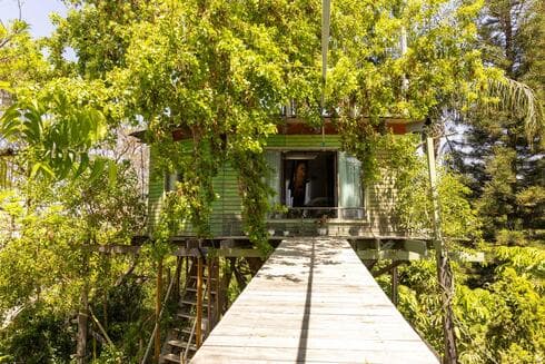 הבית של קובי בכר על העץ בכפר סבא
