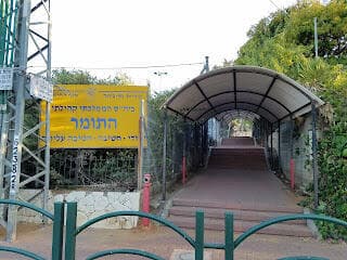 בית ספר התומר בנס ציונה
