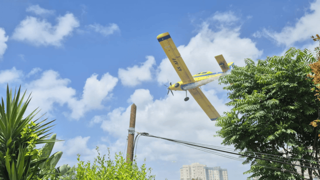 שריפה בשכונת רוממה חיפה (צילום: כבאות והצלה) שריפה בשכונת רוממה חיפה