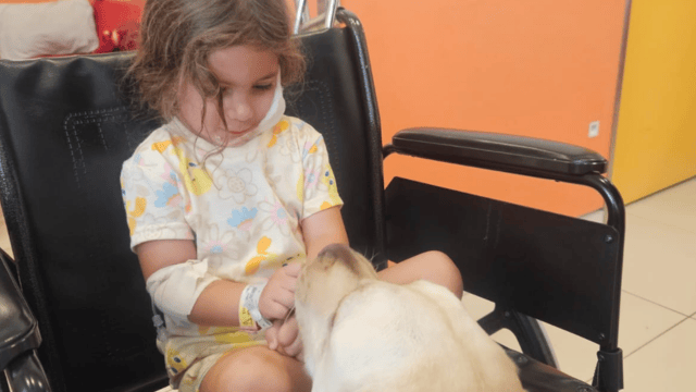 מנור גולן במפגש עם טינקה, הכלבה הטיפולית של רמב"ם