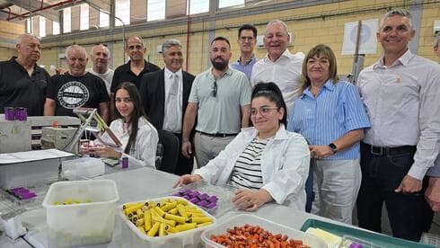 מפעל תדיראן סוללות בקריית שמונה