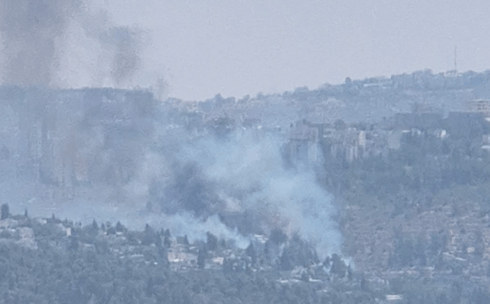 השריפה ביער כרמית (צילום: דוברות כיבוי האש) השריפה ביער כרמית