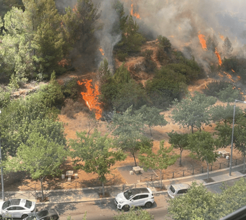 השריפה ביער כרמית השריפה ביער כרמית