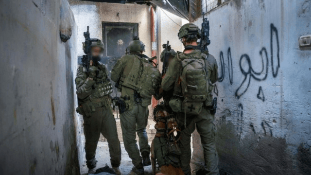 פעילות צה"ל בטול כרם פעילות צה"ל בטול כרם