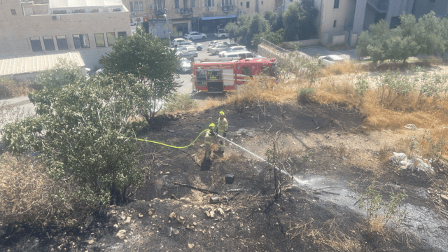 שריפה חיפה קיבוץ גלויות ואבן גבירול