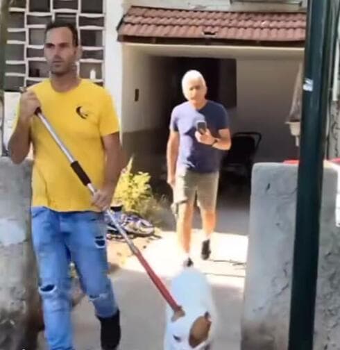  הפיטבולית שנשכה למוות תינוקת הועברה להסגר