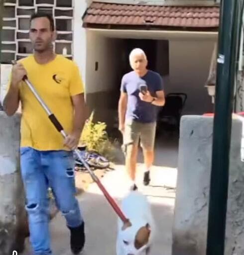 הפיטבול שנשך למוות תינוקת הועבר להסגר (צילום: ליאור אל חי, ynet) הפיטבולית שנשכה למוות תינוקת הועברה להסגר