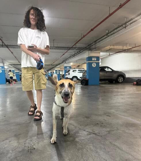 אחד החניונים שהכשירה העירייה. גם כלבים רצויים אחד החניונים שהכשירה העירייה. גם כלבים רצויים