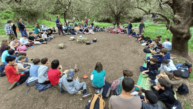 מקווים לשיתוף פעולה. בתי ספר בטבעון (צילום: אתר בית הספר בפייסבוק) בית הספר מיתרים טבעון