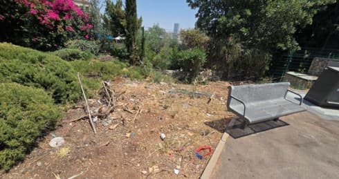 העצים נעקרו למגינת לב התושבים של רמות