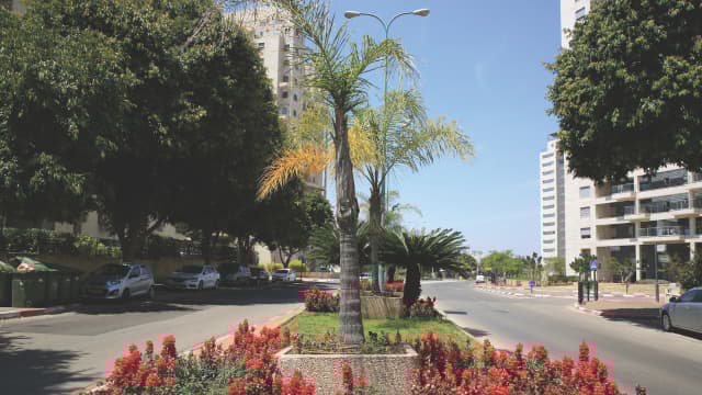 שכונת הדר גנים פתח תקוה