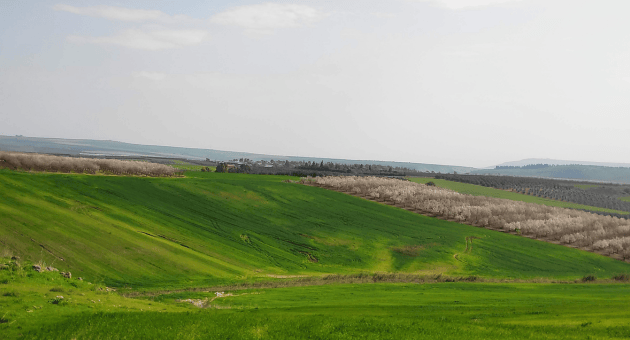 הגליל התחתון (צילום: מוא"ז הגליל התחתון) הגליל התחתון