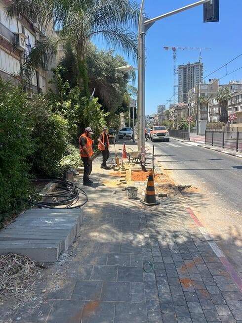נטיעת עצים ברחוב אורלוב פתח תקוה