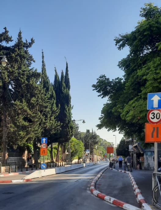 העצים ברחוב עמק רפאים בירושלים