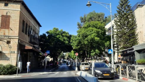 העצים ברחוב עמק רפאים בירושלים