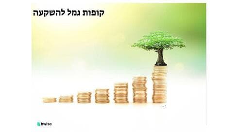 קופות גמל 