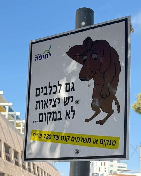 מבצע אכיפה מוגבר בקרית חיים (צילום: ענת סולומון דוברות עיריית חיפה) מבצע אכיפה מוגבר בקרית חיים