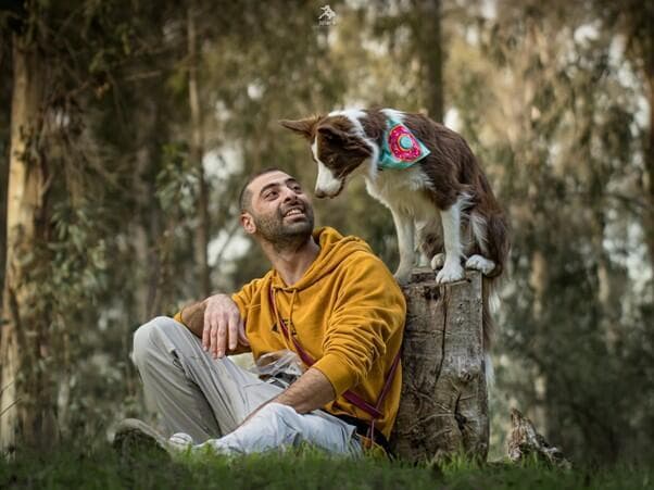 כלב חדש במשפחה