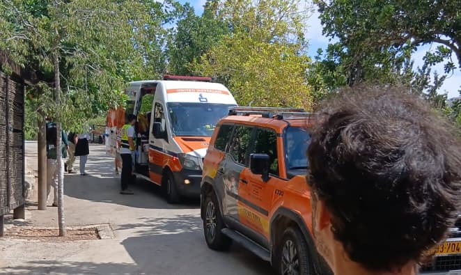 זירת הנשיכה בגן החיות התנ"כי