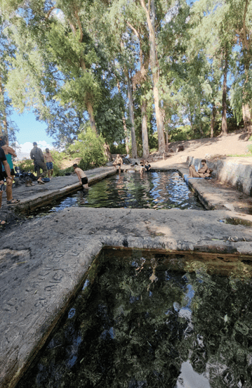 הבריכות בעין עלמין הבריכות בעין עלמין