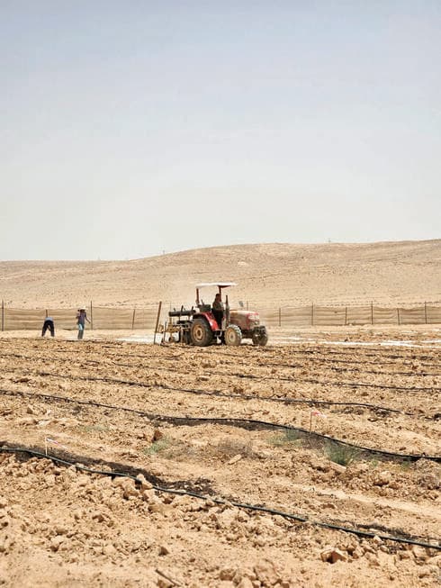 חורשים את השדות ומקדמים חקלאות בנגב