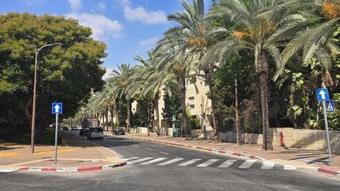 דקלים ברחוב עמק החולה במודיעין