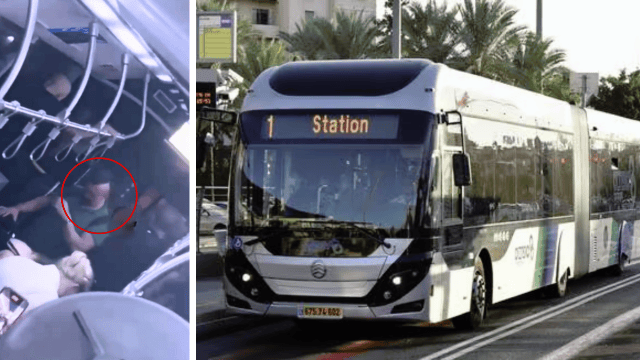 מטרונית, תיעוד התקיפה מטרונית, תיעוד התקיפה
