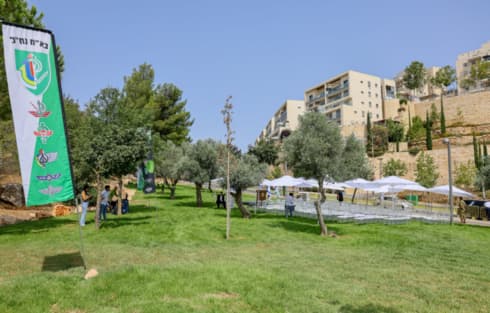 יער חטיבת הנח"ל (צילום: ארנון בוסאני) יער חטיבת הנח"ל