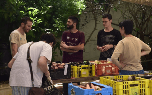 מיזם הירקות בנחלאות, גלעד שוורץ שני מימין (צילום: יובל פליישמן) מיזם הירקות בנחלאות, גלעד שוורץ שני מימין
