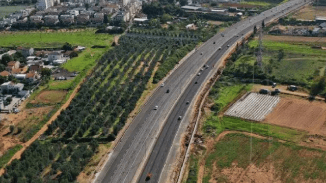מחלף אילנות