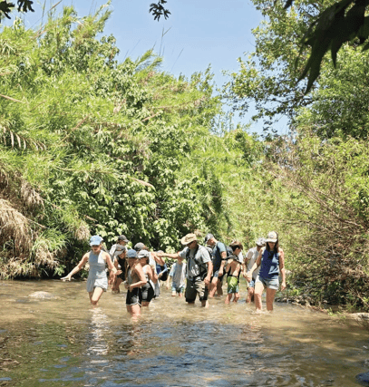 מסלול מים רטוב בנחל שניר (צילום: שלי גולדשמידט) מסלול מים רטוב בנחל שניר
