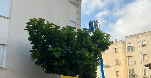 התנתקות ממ"דים בגוטל לוין חיפה