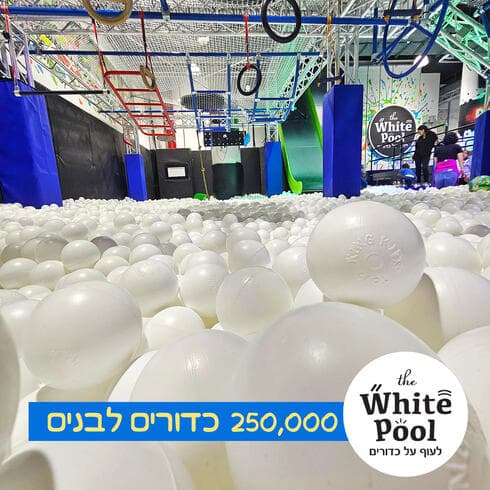 ווייט פול בראשון לציון (צילום: באדיבות העסק) ווייט פול בראשון לציון