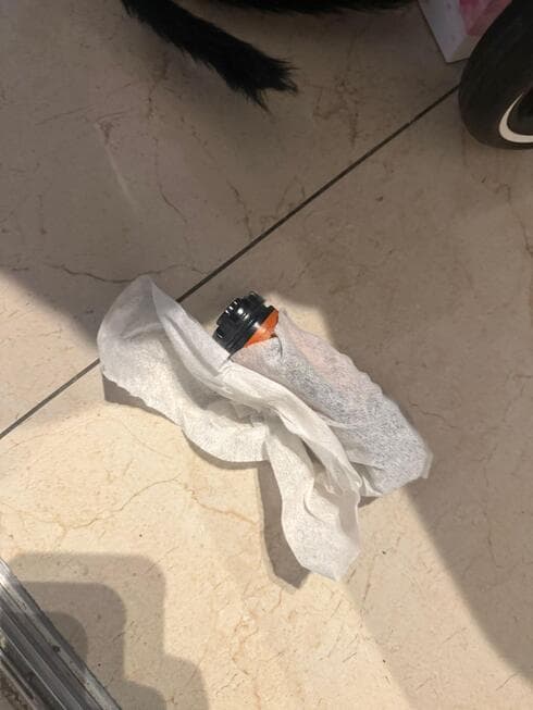 רימון בתוך קיר גבס בבת ים