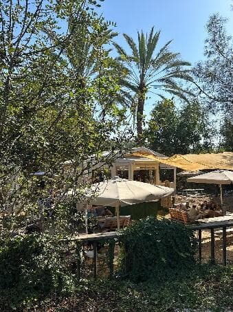 קטרינה. פודטראק בבן שמן
