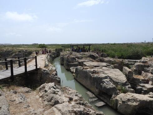 נחל תנינים (צילום: שרית פלצי מיארה רשות הטבע והגנים) נחל תנינים