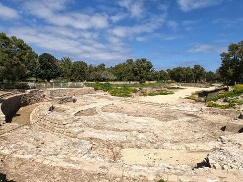 גן לאומי אשקלון (צילום: יניב כהן רשות הטבע והגנים) גן לאומי אשקלון