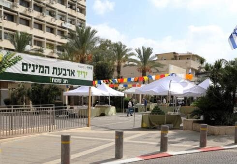 יריד ארבעת המינים חדרה 