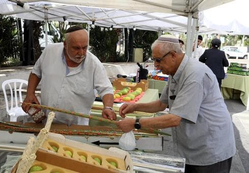 יריד ארבעת המינים חדרה 