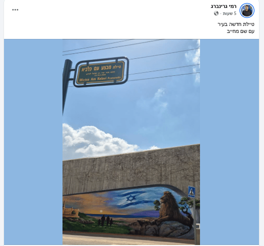 טיילת מבצע "עם כלביא" (צילום: מתוך דף הפייסבוק של רמי גרינברג, שימוש לפי סעיף 27א לחוק זכויות יוצרים) טיילת מבצע "עם כלביא"