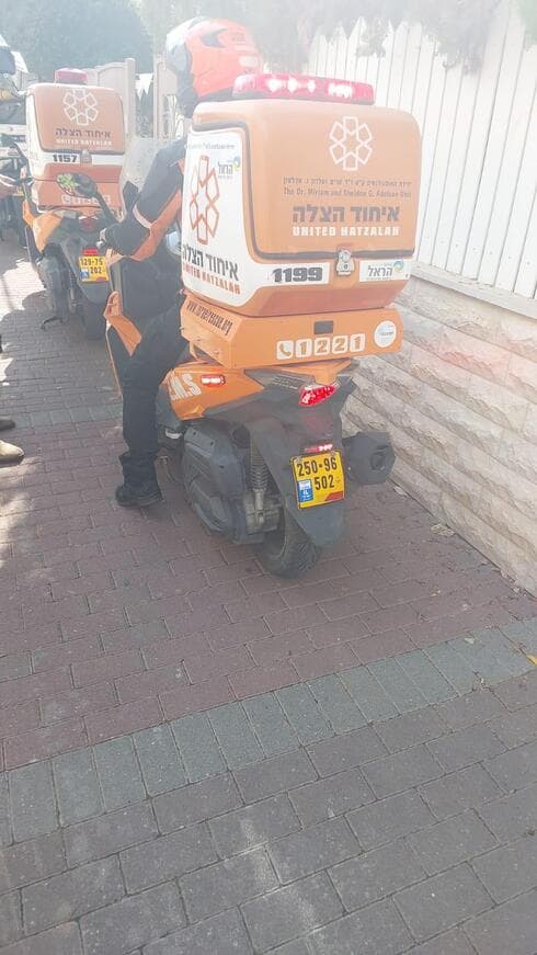 גבר נפל מעץ ונחבל בראשו (צילום: איחוד הצלה) גבר נפל מעץ ונחבל בראשו