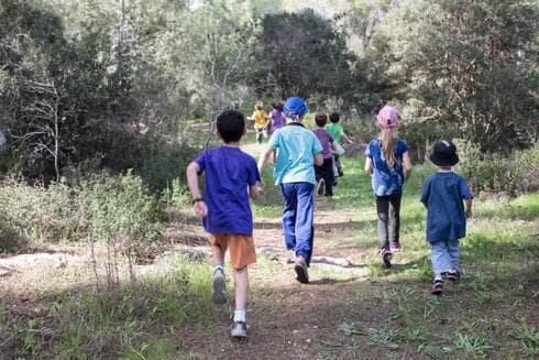 יער בן שמן (צילום: טל סיון-ציפורין) יער בן שמן